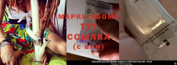 прущие грибы Пролетарск