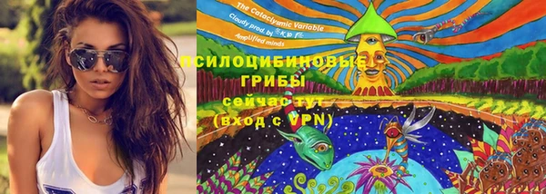 трава Абаза