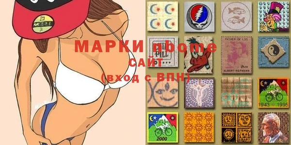 трава Абаза