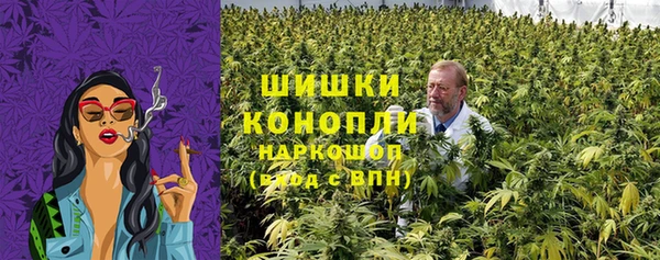 прущие грибы Пролетарск