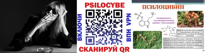 Псилоцибиновые грибы Psilocybine cubensis  где купить наркотик  Кедровый 