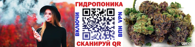 магазин    Кедровый  Бошки марихуана SATIVA & INDICA 